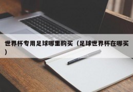 世界杯专用足球哪里购买（足球世界杯在哪买）