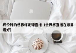 评价好的世界杯足球直播（世界杯直播在哪里看好）