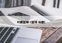 叶鹏篮球（篮球 孙鹏）