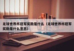 足球世界杯冠军奖励是什么（足球世界杯冠军奖励是什么意思）