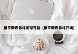 俄罗斯世界杯足球开箱（俄罗斯世界杯开场）