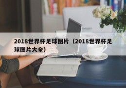 2018世界杯足球图片（2018世界杯足球图片大全）