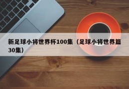 新足球小将世界杯100集（足球小将世界篇30集）