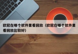 欧冠在哪个软件里看回放（欧冠在哪个软件里看回放比较好）