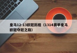 皇马12-13欧冠历程（1314赛季皇马欧冠夺冠之路）