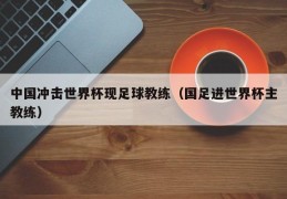 中国冲击世界杯现足球教练（国足进世界杯主教练）