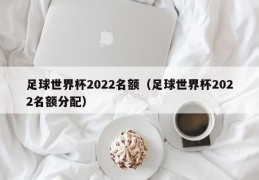 足球世界杯2022名额（足球世界杯2022名额分配）