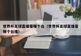 世界杯足球直播是哪个台（世界杯足球直播是哪个台播）