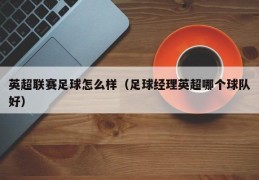 英超联赛足球怎么样（足球经理英超哪个球队好）