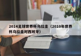 2014足球世界杯乌拉圭（2010年世界杯乌拉圭对西班牙）