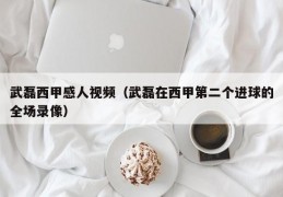 武磊西甲感人视频（武磊在西甲第二个进球的全场录像）