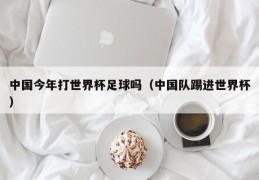 中国今年打世界杯足球吗（中国队踢进世界杯）