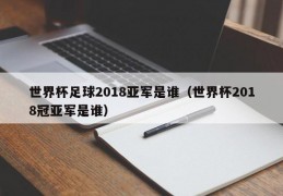 世界杯足球2018亚军是谁（世界杯2018冠亚军是谁）