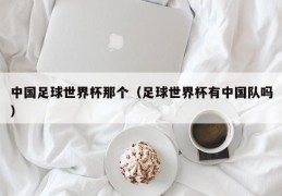 中国足球世界杯那个（足球世界杯有中国队吗）