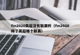 fm2020英超没有联赛杯（fm2020除了英超哪个联赛）