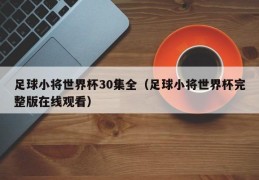 足球小将世界杯30集全（足球小将世界杯完整版在线观看）