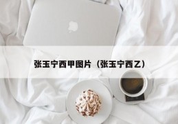 张玉宁西甲图片（张玉宁西乙）