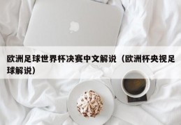 欧洲足球世界杯决赛中文解说（欧洲杯央视足球解说）