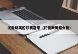 托雷斯英超联赛冠军（托雷斯英超金靴）