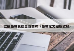 欧冠曼城莫德里奇黄牌（曼城尤文图斯欧冠）