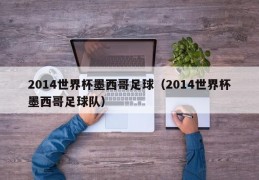 2014世界杯墨西哥足球（2014世界杯墨西哥足球队）