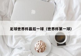 足球世界杯最后一球（世界杯第一球）