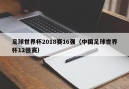 足球世界杯2018赛16强（中国足球世界杯12强赛）