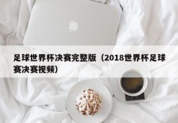 足球世界杯决赛完整版（2018世界杯足球赛决赛视频）