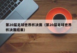 第20届足球世界杯决赛（第20届足球世界杯决赛结果）