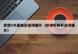 欧冠5大最精彩进球图片（欧洲杯精彩进球图片）