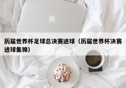 历届世界杯足球总决赛进球（历届世界杯决赛进球集锦）