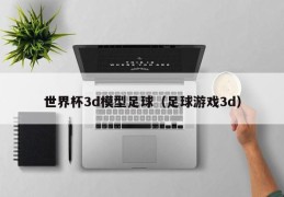 世界杯3d模型足球（足球游戏3d）