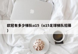 欧冠有多少梯队u15（u15足球梯队招募）