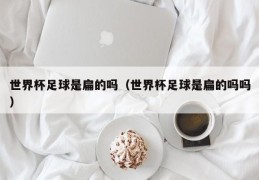 世界杯足球是扁的吗（世界杯足球是扁的吗吗）