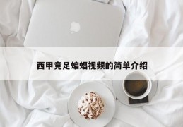 西甲竞足蝙蝠视频的简单介绍