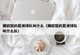 踢欧冠的亚洲球队叫什么（踢欧冠的亚洲球队叫什么队）