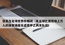 张某在足球世界杯期间（某足球比赛现场上万人的体育场座无虚席甲乙两支队伍）