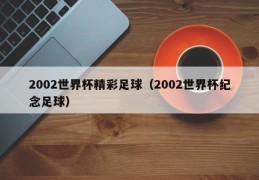 2002世界杯精彩足球（2002世界杯纪念足球）