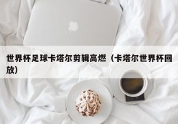 世界杯足球卡塔尔剪辑高燃（卡塔尔世界杯回放）