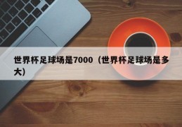 世界杯足球场是7000（世界杯足球场是多大）