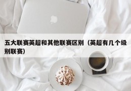 五大联赛英超和其他联赛区别（英超有几个级别联赛）