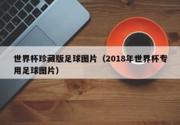 世界杯珍藏版足球图片（2018年世界杯专用足球图片）