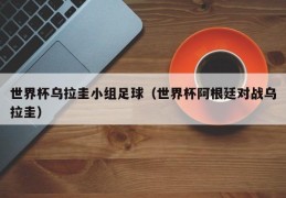 世界杯乌拉圭小组足球（世界杯阿根廷对战乌拉圭）