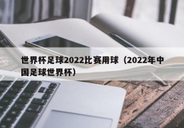 世界杯足球2022比赛用球（2022年中国足球世界杯）