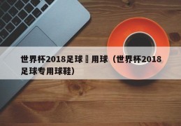 世界杯2018足球專用球（世界杯2018足球专用球鞋）