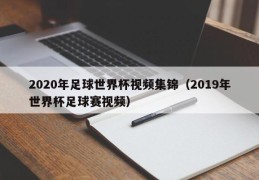 2020年足球世界杯视频集锦（2019年世界杯足球赛视频）