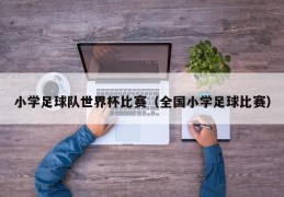 小学足球队世界杯比赛（全国小学足球比赛）